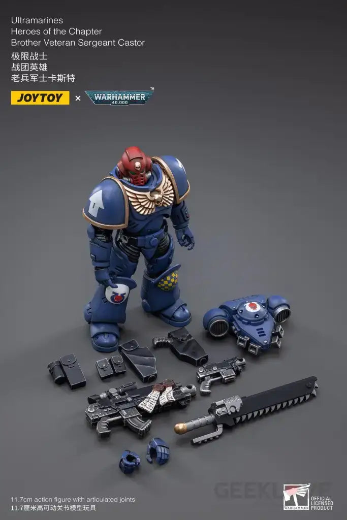 Warhammer 40K Ultramarines Heroes of the Chapter Brother Veteran Sergeant Castor Action Figure