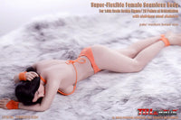 S28A 1/6 Female Super-Flexible Seamless Bodies Pale - GeekLoveph